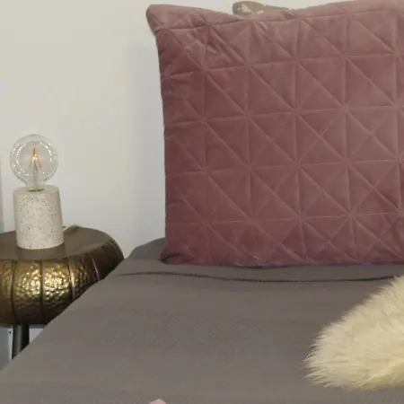 بيت ضيافة Bogelund Sleep-in 3*