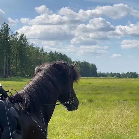 Bogelund Sleep-in بيت ضيافة